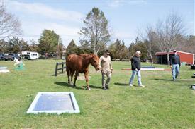 LR-WRF 0402026 Retreat-3419